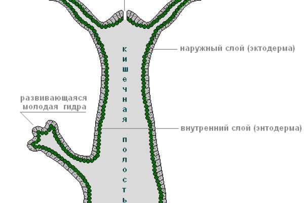 Сайт кракена актуальный