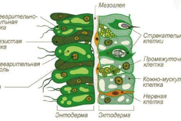 Кракен площадка зеркало