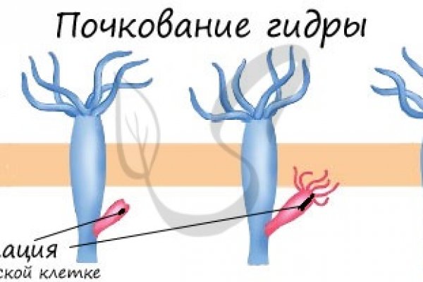 Кракен 18