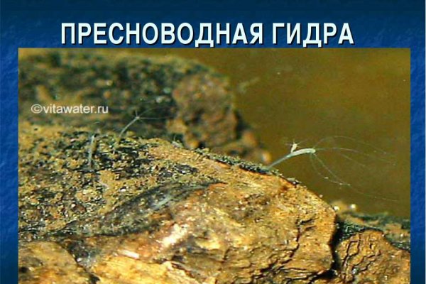 Короткая ссылка на кракен