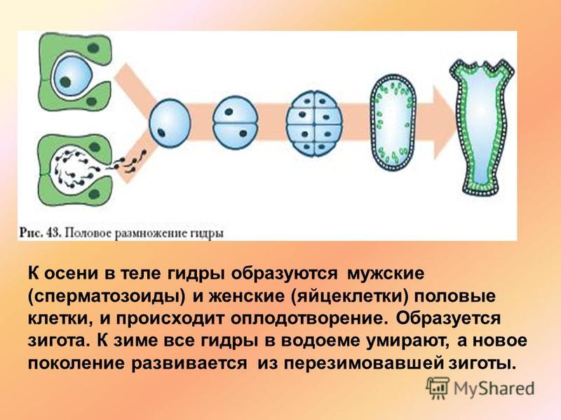 Не заходит на кракен